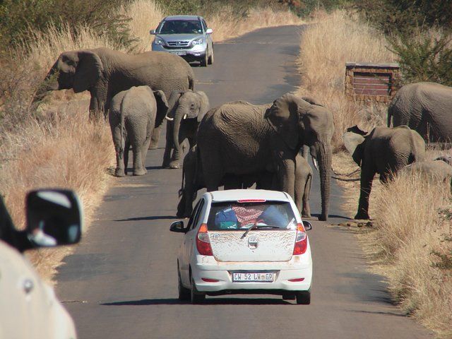 Pilanesberg National Park Open Truck - Photo 1 of 6